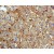 Immunohistochemistry-Paraffin: Apolipoprotein CIII Antibody (EPR1371(2)) [NBP1-95372] human liver tissue using anti-Apolipoprotein CIII.
